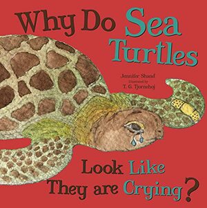 Why Do Sea Turtles Look Like They Are Crying? by Jennifer Shand