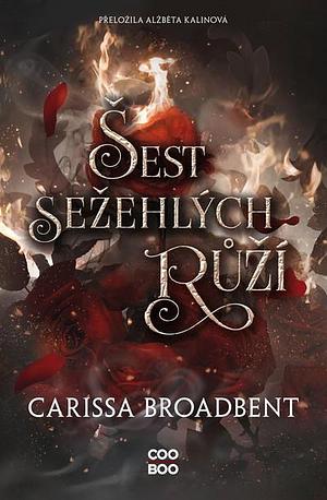 Šest sežehlých růží by Carissa Broadbent
