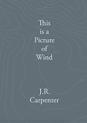 This is a Picture of Wind by J.R. Carpenter