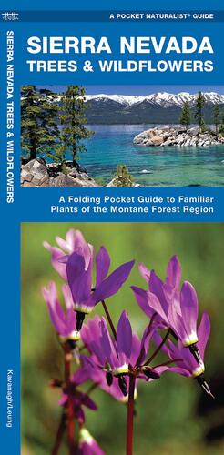 Sierra Nevada Trees & Wildflowers: A Folding Pocket Guide to Familiar Species of the Montane Forest Region by Raymond Leung, James Kavanagh