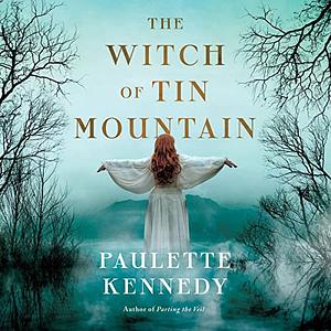 The Witch of Tin Mountain by Paulette Kennedy