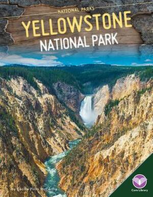 Yellowstone National Park by Cecilia Pinto McCarthy