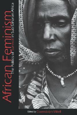 African Feminism: The Politics of Survival in Sub-Saharan Africa by Gwendolyn Mikell