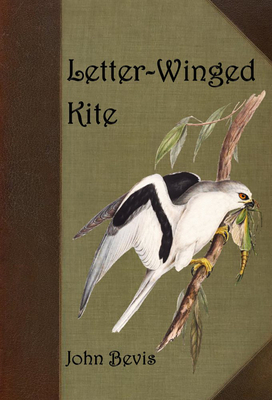 Letter-Winged Kite by John Bevis