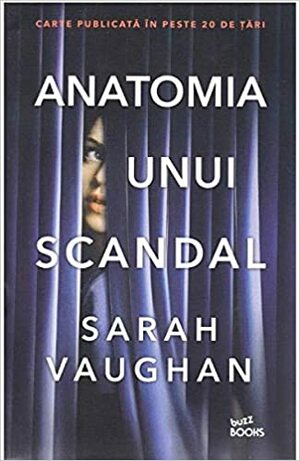 Anatomia unui scandal by Dana-Ligia Ilin, Sarah Vaughan