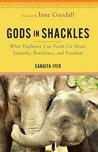 Gods in Shackles: What Elephants Can Teach Us About Empathy, Resilience, and Freedom by Sangita Iyer