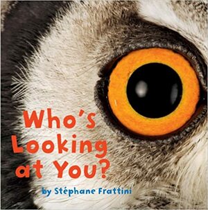 Who's Looking at You? by Stéphane Frattini