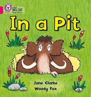 In a Pit by Jane Clarke, Woody Fox