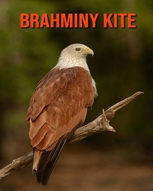 Brahminy kite: Incredible Pictures and Fun Facts about Brahminy kite by William Doyle