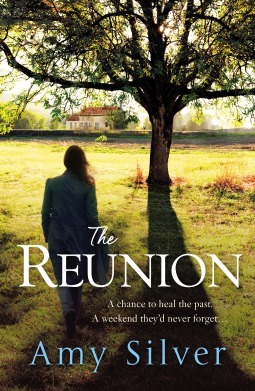 The Reunion by Amy Silver