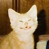 mazuki's profile picture