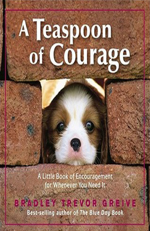 A Teaspoon of Courage: A Little Book of Encouragement for Whenever You Need It by Bradley Trevor Greive