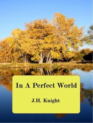 In A Perfect World by J.H. Knight