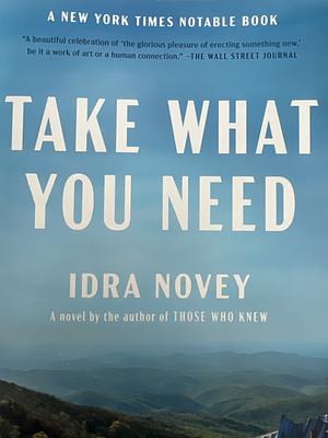 Take What You Need: A Novel by Idra Novey