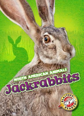 Jackrabbits by Christina Leaf