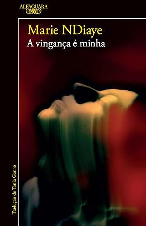 A vingança é minha by Marie NDiaye