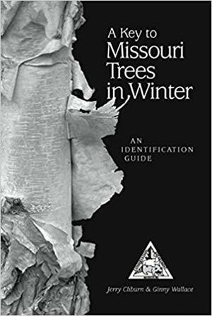 A Key to Missouri Trees in Winter: An Identification Guide by Lori Simms, Tim Smith