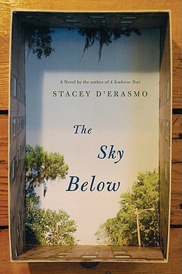 The Sky Below by Stacey D'Erasmo