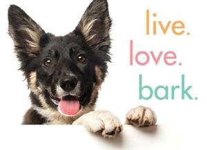 Live. Love. Bark. by Sourcebooks