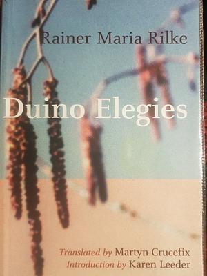 Duino Elegies by Martyn Crucefix