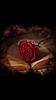 lyndsayhausken's profile picture