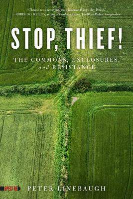 Stop, Thief!: The Commons, Enclosures, and Resistance by Peter Linebaugh