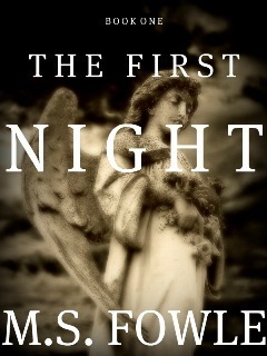 The First Night by M.S. Fowle