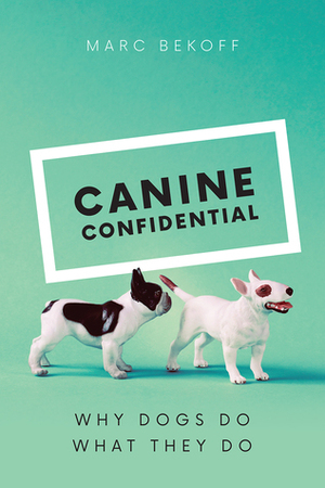 Canine Confidential: Why Dogs Do What They Do by Marc Bekoff