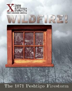 Wildfire! by Jacqueline A. Ball