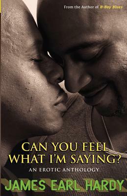 Can You Feel What I'm Saying?: An Erotic Anthology by James Earl Hardy