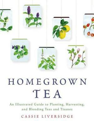 Homegrown Tea: An Illustrated Guide to Planting, Harvesting, and Blending Teas and Tisanes by Cassie Liversidge