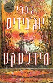 מידלסקס by Jeffrey Eugenides