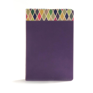 CSB Rainbow Study Bible, Purple Leathertouch by Csb Bibles by Holman