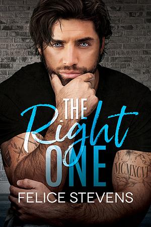 The Right One by Felice Stevens