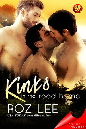Kinks In the Road Home by Roz Lee