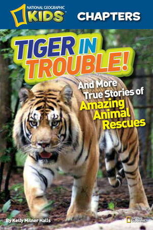 Tiger in Trouble!: And More True Stories of Amazing Animal Rescues (National Geographic Kids Chapters) by Kelly Milner Halls, National Geographic Kids