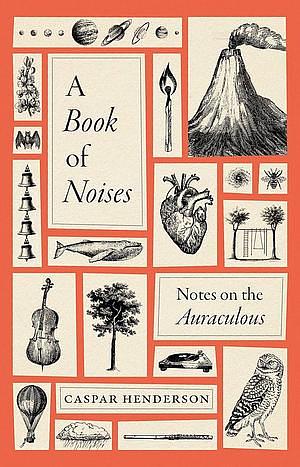 A Book of Noises: Noes on the Auraculous by Caspar Henderson