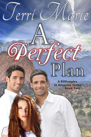 A Perfect Plan by Terri Marie