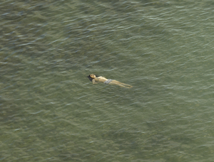 Richard Misrach: The Mysterious Opacity of Other Beings (Signed Edition) by Richard Misrach