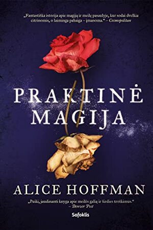 Praktinė magija by Alice Hoffman