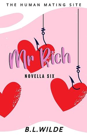 Mr. Rich by B. L. Wilde