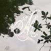 blithesome's profile picture