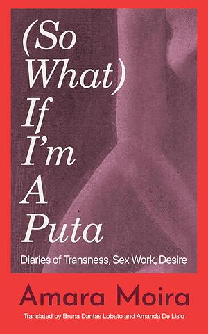 (So What) If I'm a Puta?: Diaries of Transness, Sex Work, Desire by Amanda De Lisio