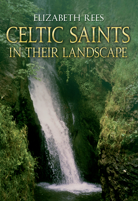 Celtic Saints in Their Landscape by Elizabeth Rees