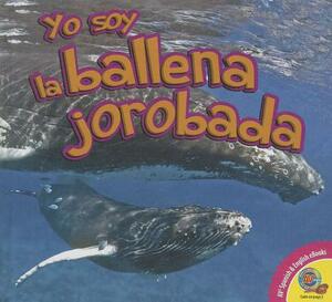 Yo Soy la Ballena Jorobada by Aaron Carr