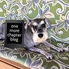 _one_more_chapter's profile picture