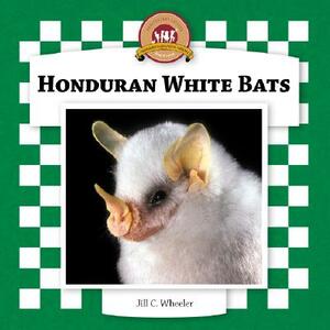 Honduran White Bats by Jill C. Wheeler