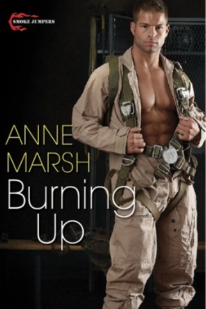 Burning Up by Anne Marsh