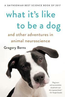 What It's Like to Be a Dog: And Other Adventures in Animal Neuroscience by Gregory Berns