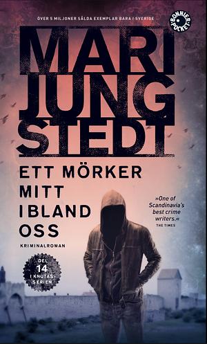 Ett mörker mitt ibland oss by Mari Jungstedt